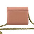 DIOR Pink Leather Compact Saddle Wallet with Added Adjustable Chain For Discount