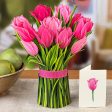 Pop-Up Pink Tulips For Discount