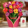 Pop-Up Mixed Tulips For Discount