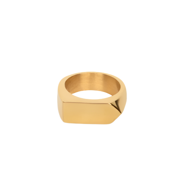 Pointed Stainless Steel Ring Online Sale