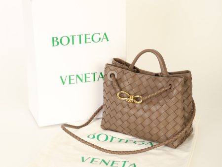 Bottega Veneta 2023 Intrecciato Small Andiamo Cheap